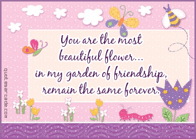 FRIENDS CARDS 15