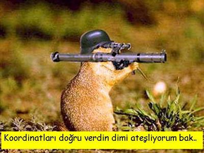 Nasıl Birisin?