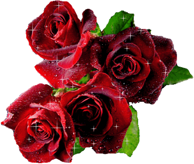 4 roses rouges