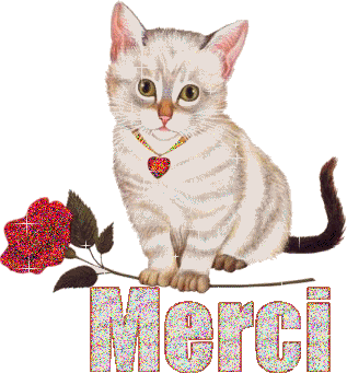 Merci