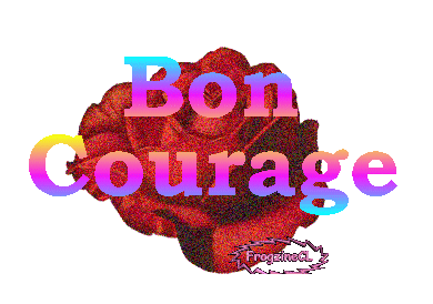 Bon courage!