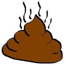 Steamy Turd