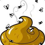 Smelly Turd 