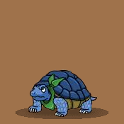 Get Pet Kame