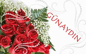 GÜNAYDIN