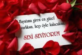 SENİ SEVİYORUM