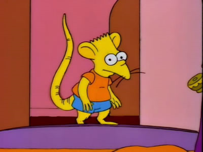 Eres Niño Rata?