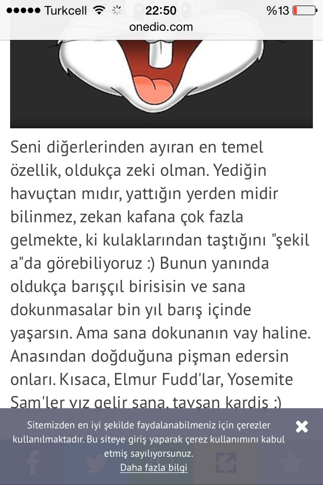 Arkadaşını Ne Kadar Seviyorsun