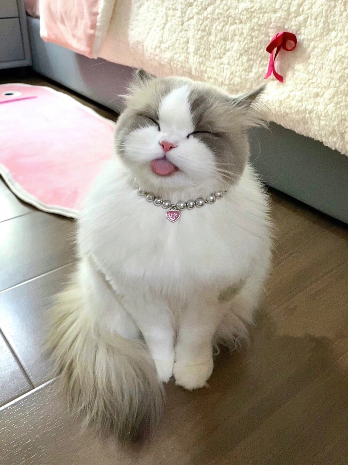 Mirip Siapa Kamu Di Tempat Para Hewan