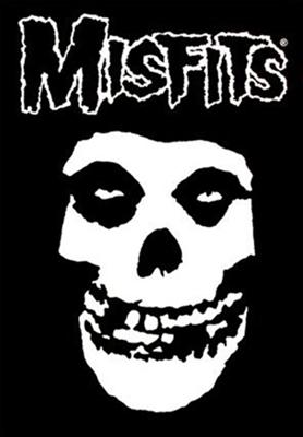 Sei Davvero Un Punk???