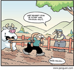 Zeka Testi