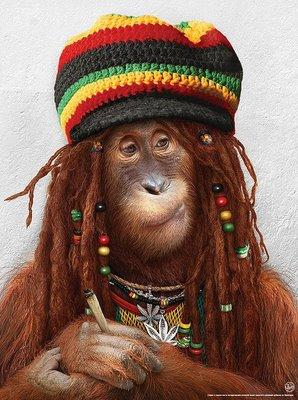 (R O R) Rasta O Rap?