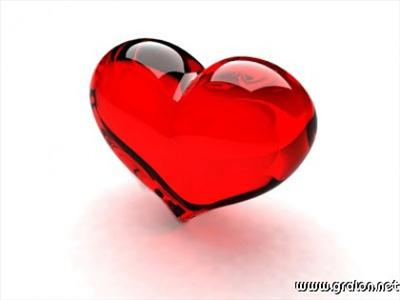Loved Or Hated