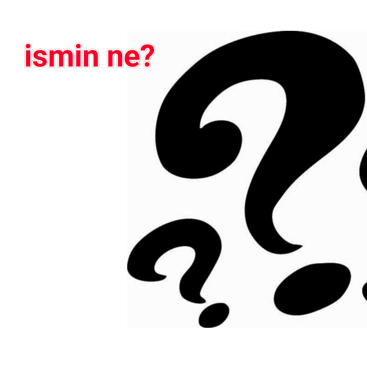 Yabancı Olsan İsmin Ne Olurdu?