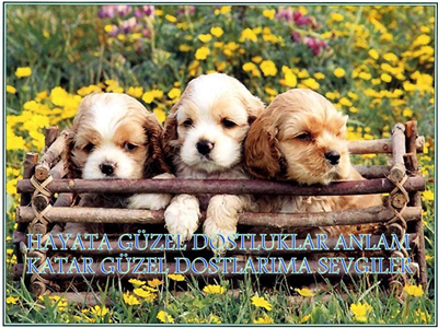 DÜNYA DÖNDÜKÇE ARKAŞLIĞIMIZ VE DOSTLUĞUMUZ BAKİ KALSIN ARKADAŞIM