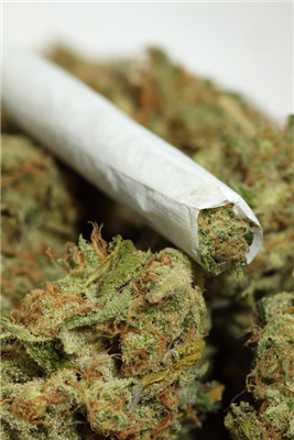 BUD