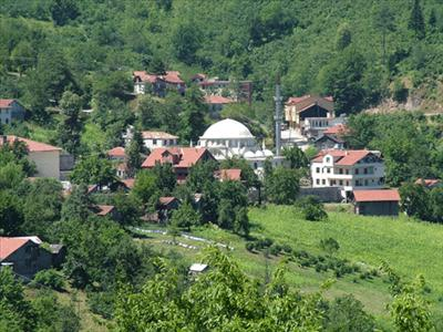 Nasıl Bir Hayat İstersin