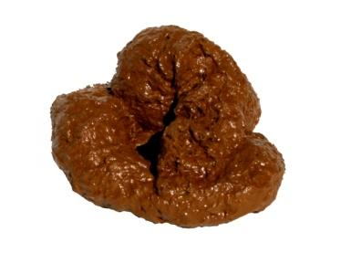 giant poop