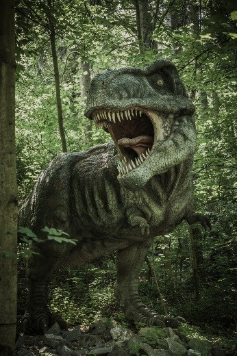 ¿A Que Dinosaurio Te Pareces?
