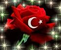 İskeleci
