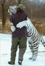 hug with tiger