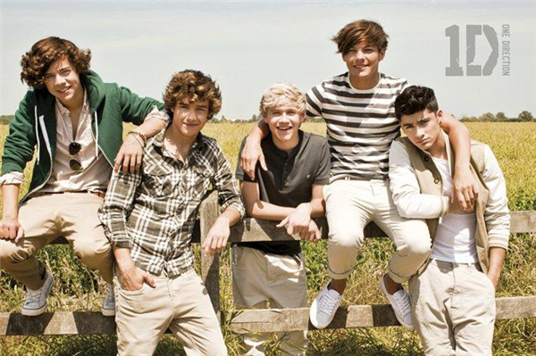 One Direction Posteri