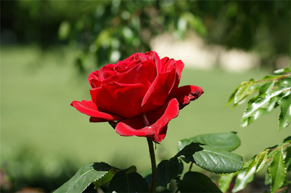 لك فقط ♥