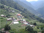Avlucagençlik