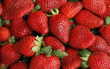 strawberry