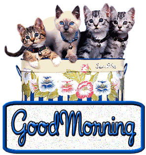 Good Morning 