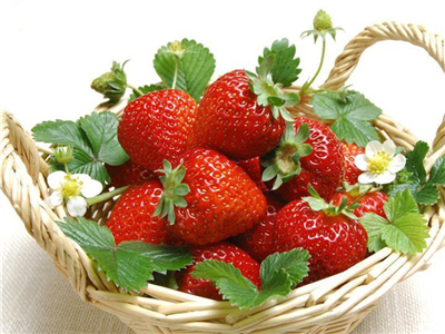 have a nice day