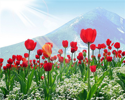 have a nice day