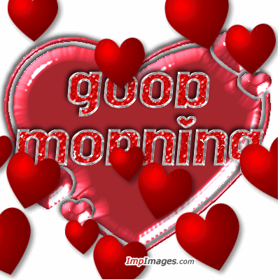 GOOD MORNİNG