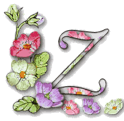 Z