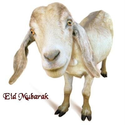Bakra Eid Mubarik