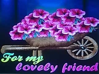 For Friendship
