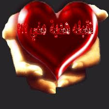 جفت28