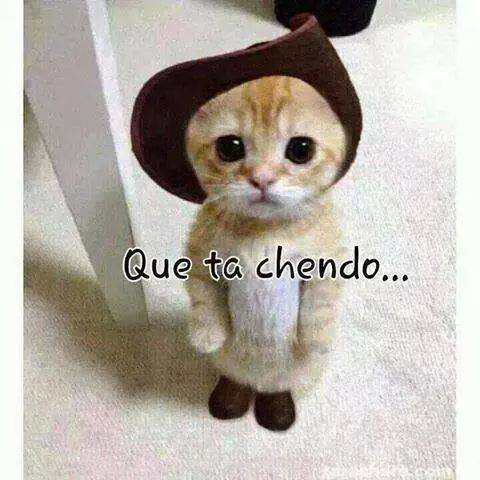 Que Tan Lindo Eres