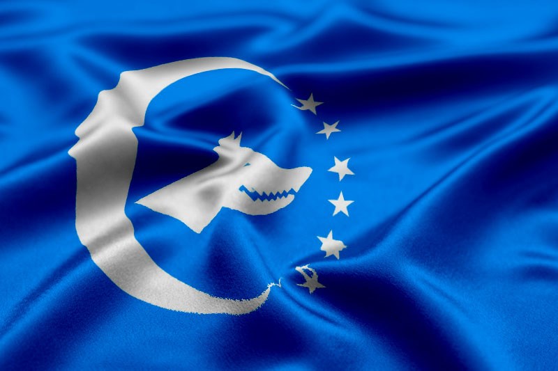 Turkler vs tu. Dusmanlari