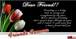 Friendship Cards