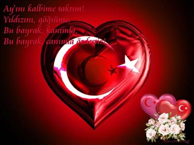 Ulkeni Seviyomusun