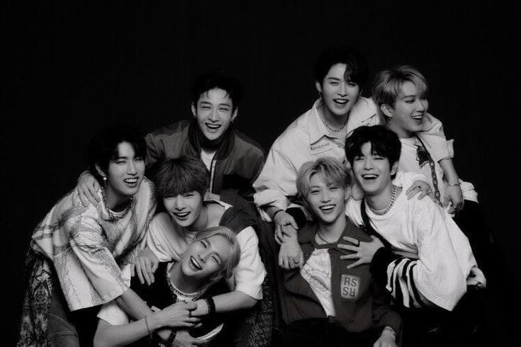 Hangi stray kids uyesisin?