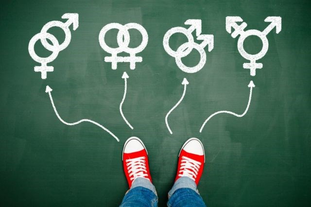 Cual Es Tu Orientación. Sexual