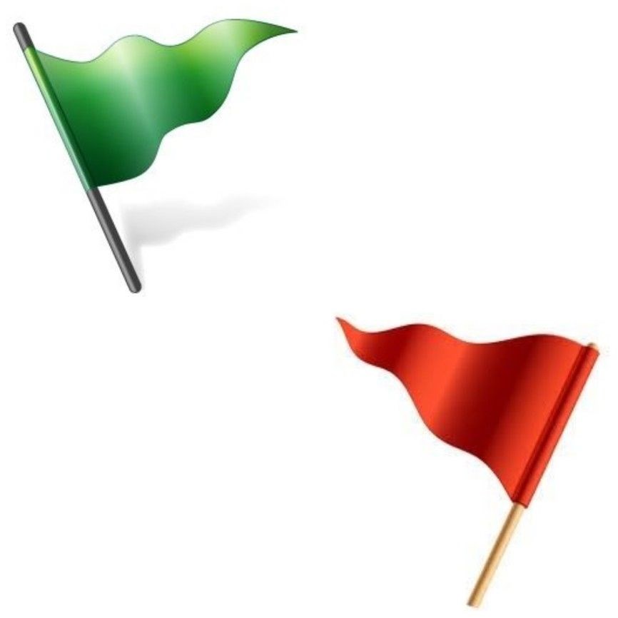 Hangi Flagsın?