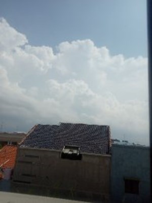 Seberapa tolol anda