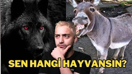 SEN HANGI HAYVANSIN????