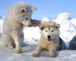 Cheer up, buddy!