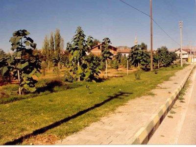 Has Onaçlı Mısın Değil Misin?