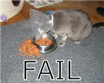 Shipment Of Fail