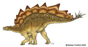 Stegosaurus